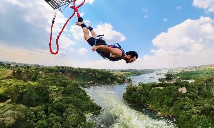 Bungee jumping
