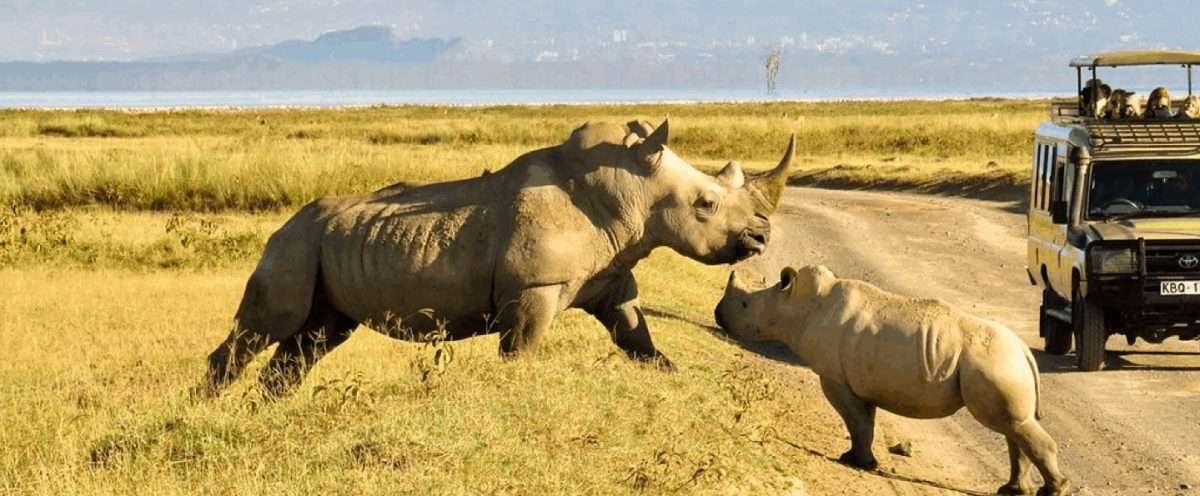Nairobi National Park