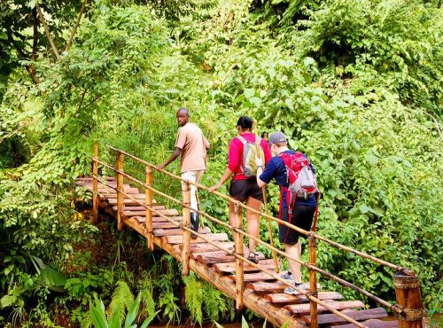 Best-Hiking-Trails-in-Uganda.jpg Best-Hiking-Trails-in-Uganda.jpg