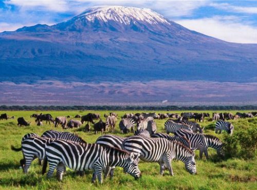 amboseli-NP-582x393-3-4 (1)